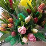 Тюльпаны, примулы, цикламены к 8 Марта завезли в АТБ Тюльпаны, примулы, цикламены к 8 Марта завезли в АТБ, цена на цветы в 2025 году